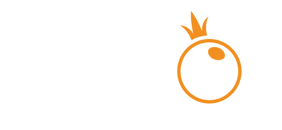 Partner 4
